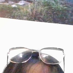 riita